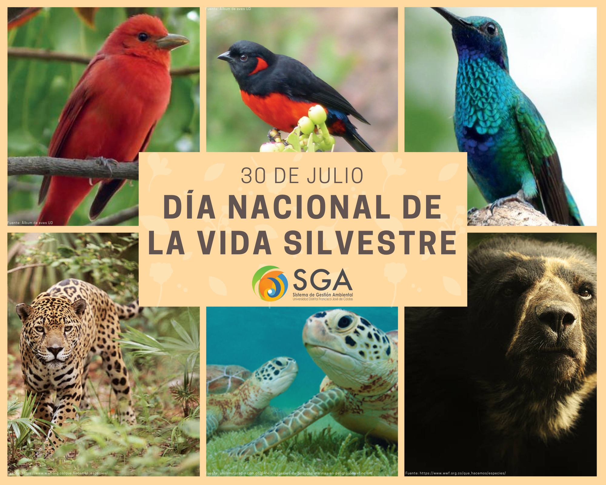 Imagen decorativa Julio 30: Día Nacional De La Vida Silvestre