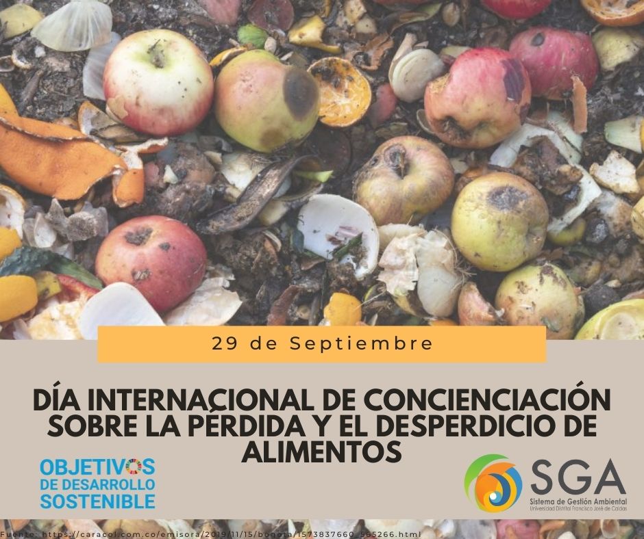 Imagen decorativa 29 de septiembre: Día Internacional de Concienciación sobre la Pérdida y el Desperdicio de Alimentos