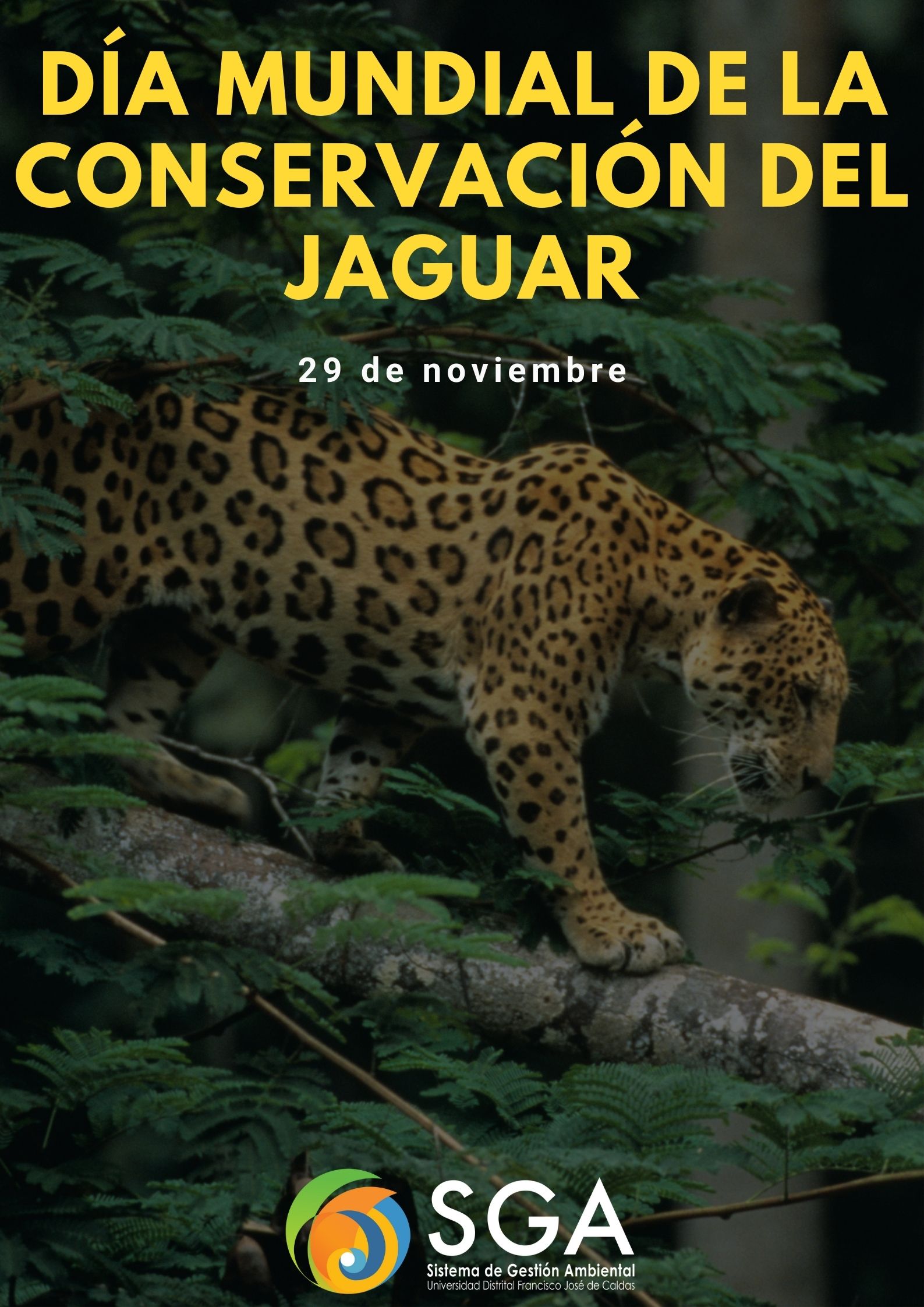 Imagen decorativa 29 de noviembre: Día Mundial de la Conservación del Jaguar