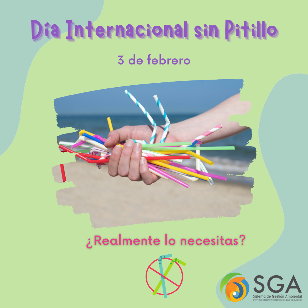 Imagen decorativa 03 de febrero: Día Internacional Sin Pitillo