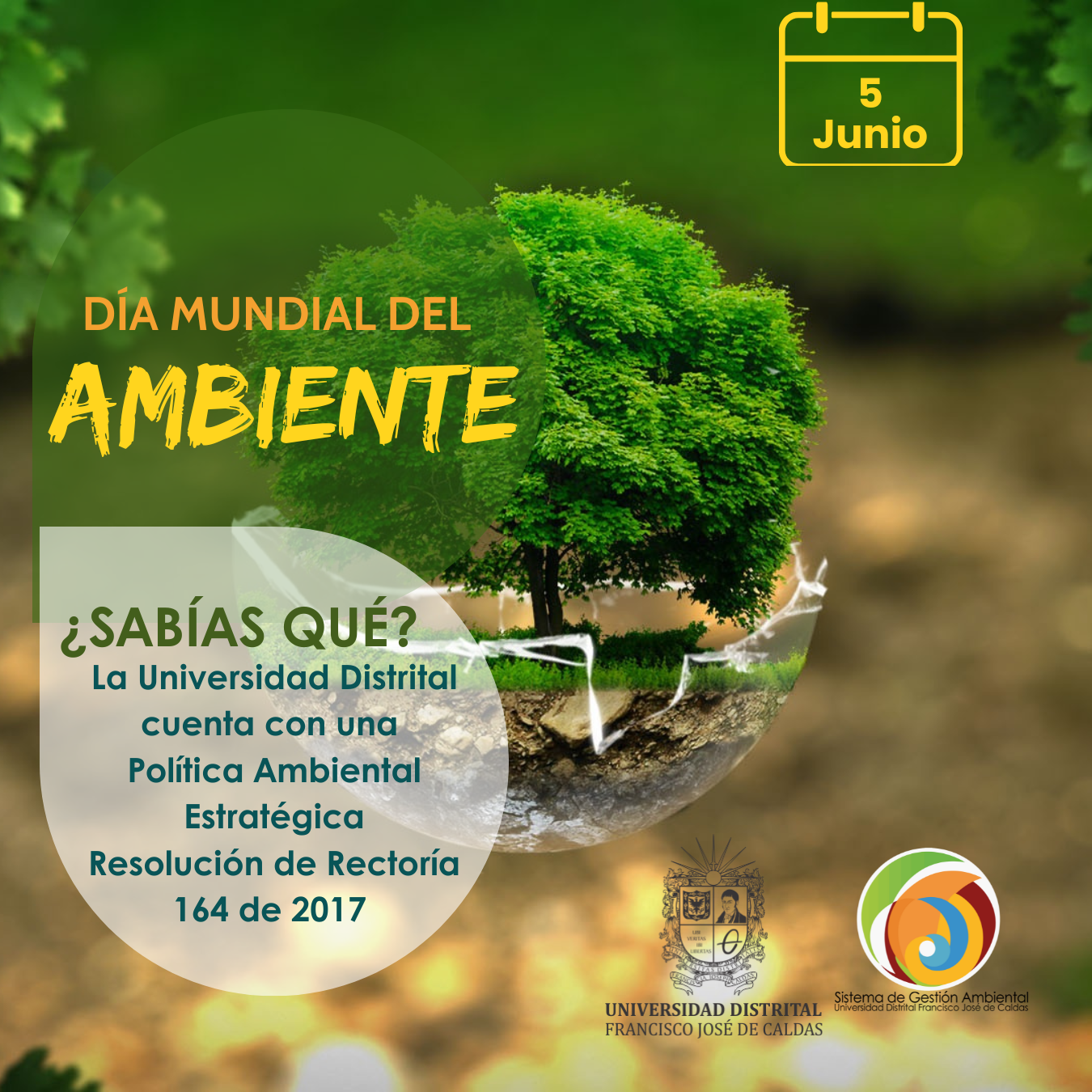 Imagen decorativa DÍA MUNDIAL DEL AMBIENTE 