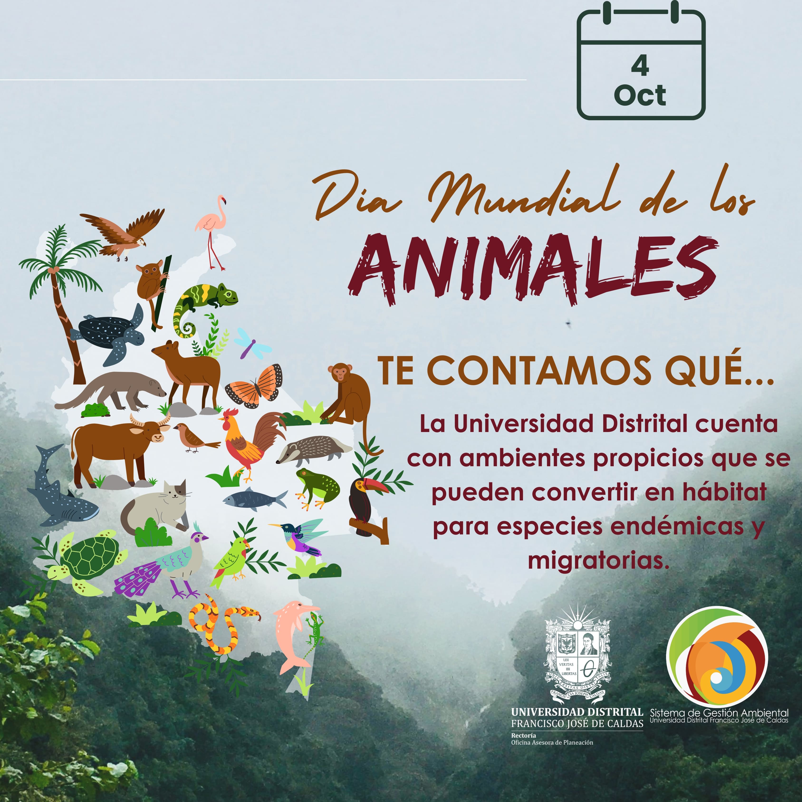 Imagen decorativa DÍA MUNDIAL DE LOS ANIMALES