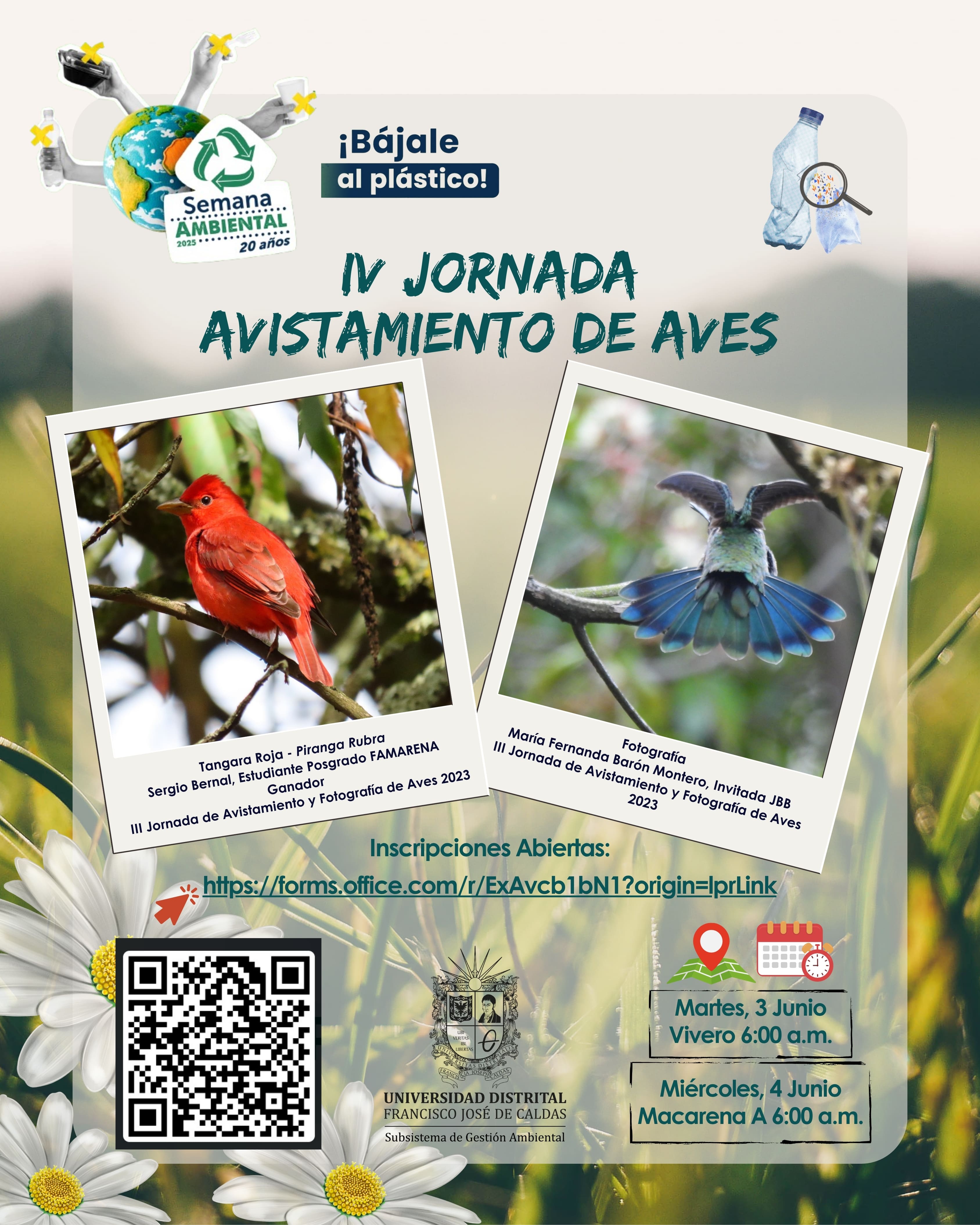 Imagen decorativa IV JORNADA DE AVISTAMIENTO DE AVES