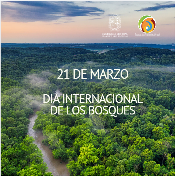 Imagen decorativa DIA INTERNACIONAL DE LOS BOSQUES
