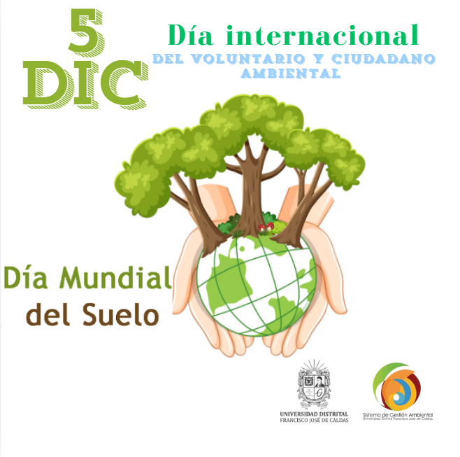 Imagen decorativa DIA INTERNACIONAL DEL VOLUNTARIO Y CIUDADANO AMBIENTAL, DIA MUNDIAL DEL SUELO