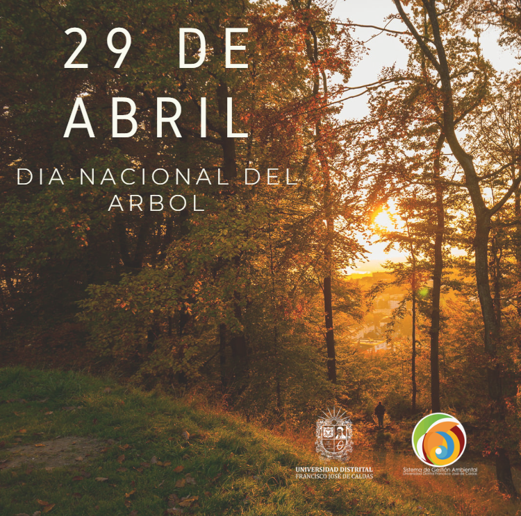 Imagen decorativa DIA NACIONAL DEL ARBOL