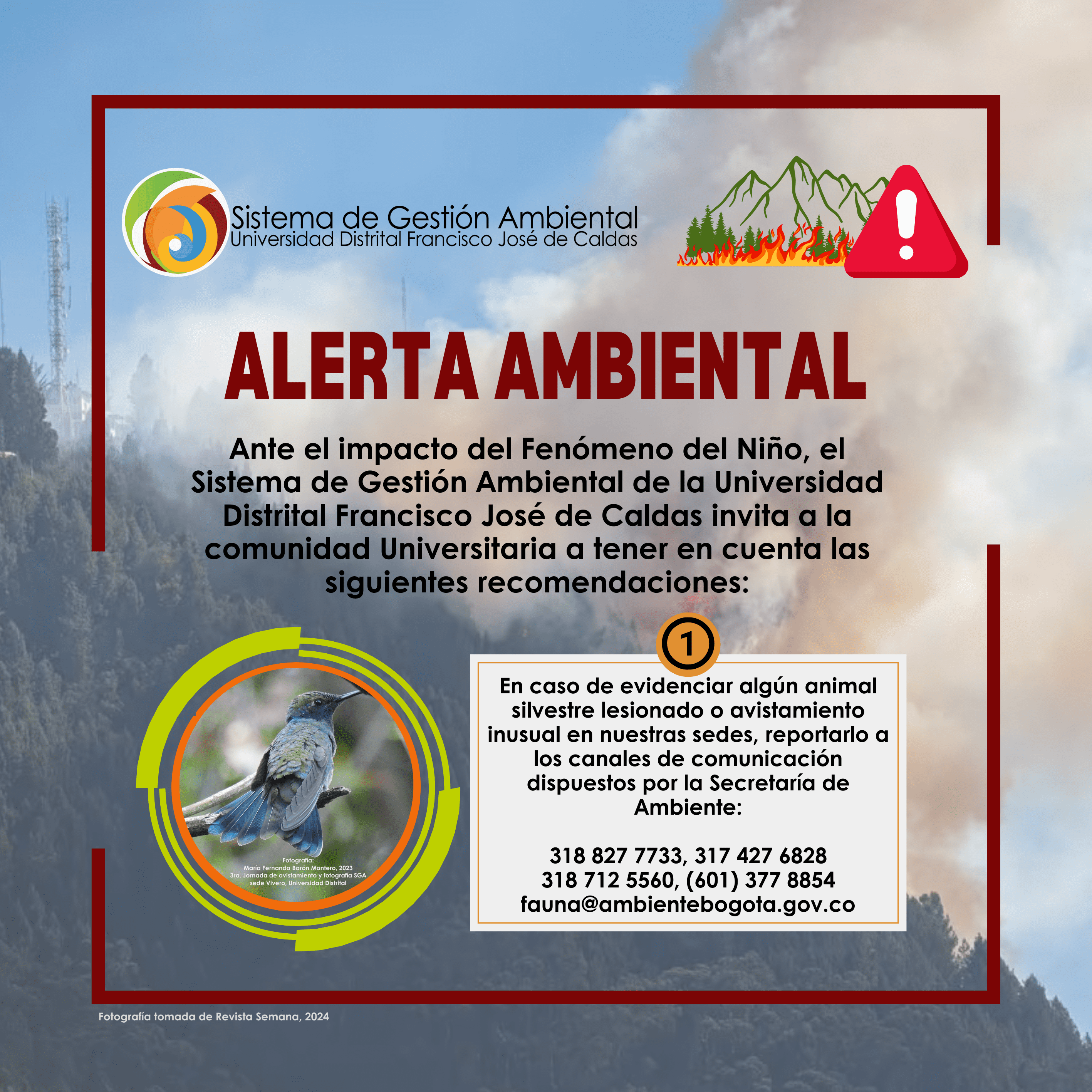 ALERTA AMBIENTAL 1