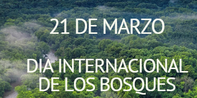 DIA INTERNACIONAL DE LOS BOSQUES